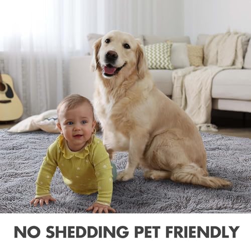 8x10 Ft Extra Large Shag Rugs for Living Room (Ec Light Grey / 8' X 10' (Rectangular))