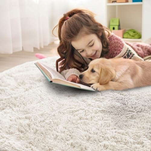 Ivory Round Rugs for Bedroom (2 Ft Round / Ivory)