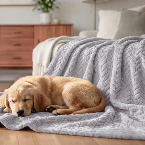 Fleece Throw Blanket for Couch Sofa (Light Grey / Throw ( 50x70 IN ))