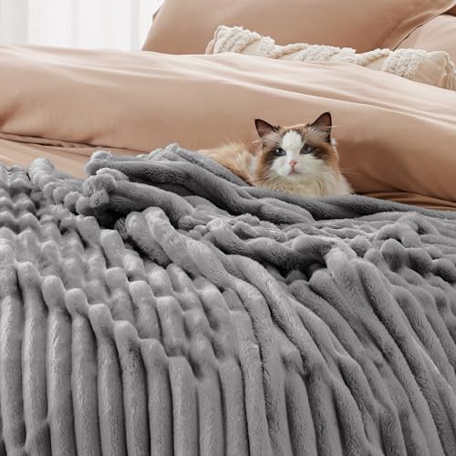 Soft Queen Size Blanket for Bed Frost Gray 90"x90" (Frost Gray / Queen)