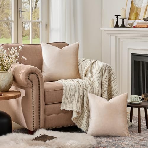 Velvet Pillow Covers 20x20 Decorative Pillows Pack of 2 Beige (Champagne / 20" x 20" (Pack of 2))