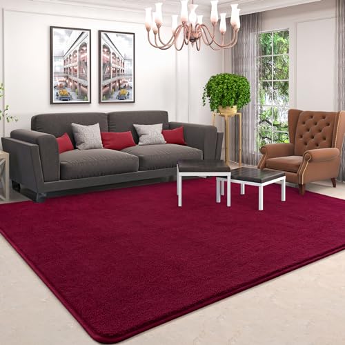5x7 Area Rugs for Living Room Non Slip Dorm Bedroom Rug (5' x 7' (Rectangular) / Wine Red)