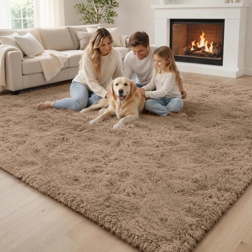 6x9 Shag Area Rug for Living Room (Beige / 6' x 9' (Rectangular))