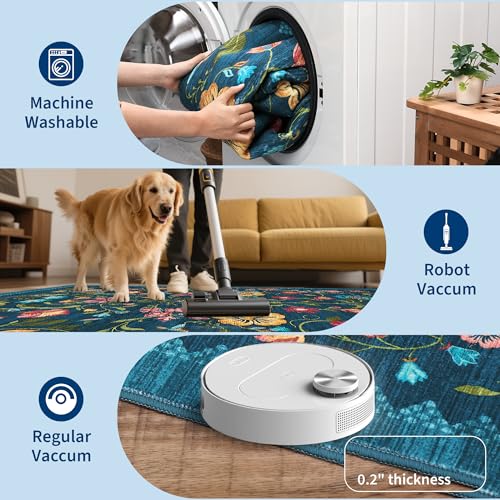 Washable Rug 4x6 Area Rugs for Living Room (C Blue / 4' x 6' (Rectangular))