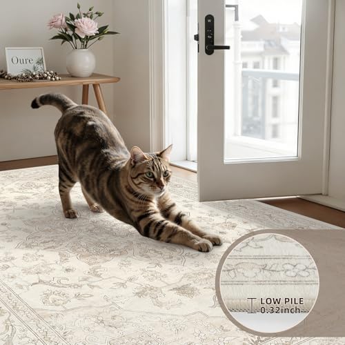 5x7 Area Rugs Living Room (Beige White / 5' x 7' (Rectangular))