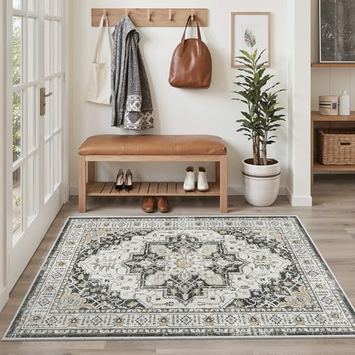Area Rug 4x6 Washable Rugs Vintage for Living Room (Black / 4' x 6' (Rectangular))