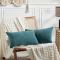 2 Packs Teal Lumbar Decorative Throw Pillow Covers 20x28 Inch for Living Room Couch Bed Sofa (Teal / 28" x 20" (Pack of 2))