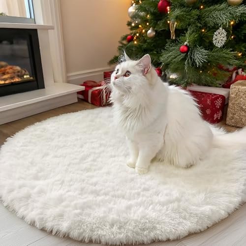 Ivory Round Rugs for Bedroom (3 Ft Round / Ivory)