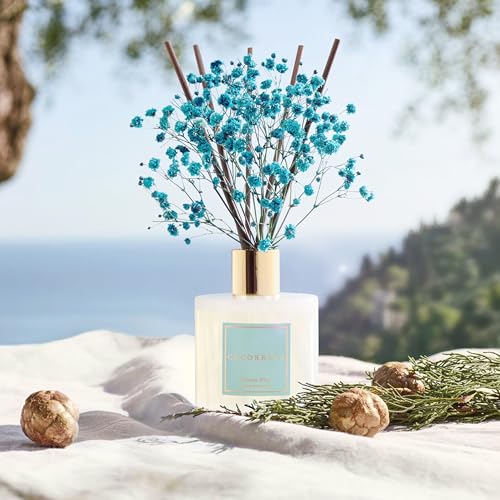 Reed Diffuser (6.7 Ounce/1pack)