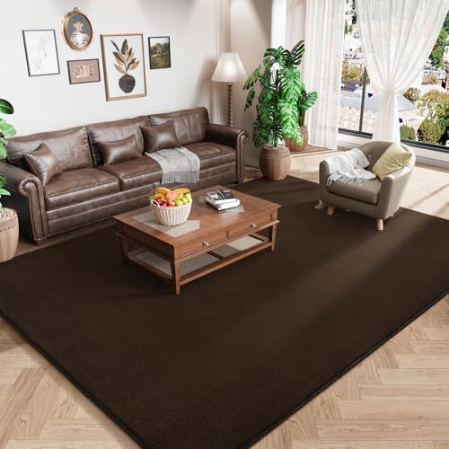 Large Area Rugs for Bedroom Living Room (6' x 9' (Rectangular) / Brown)