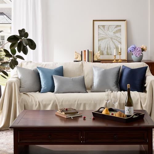 Dark Grey Velvet Throw Pillow Covers 16x16 Pack of 2 (Dark Grey / 16" x 16" (Pack of 2))