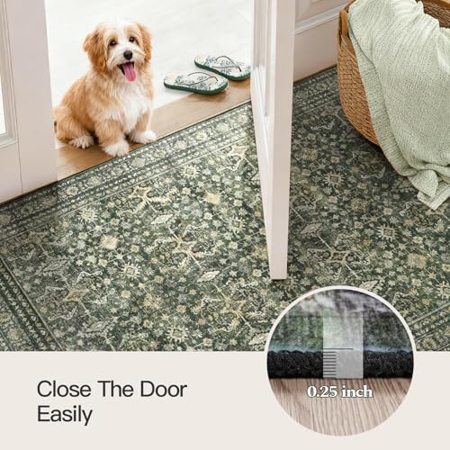 3x5 Area Rugs for Entryway (Green / 3' X 5' (Rectangular))