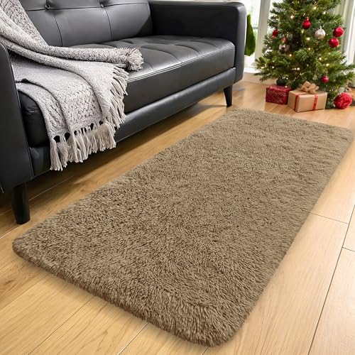 2x4 Machine Washable Runner Rugs for Hallway (2x4 Ft / Taupe)