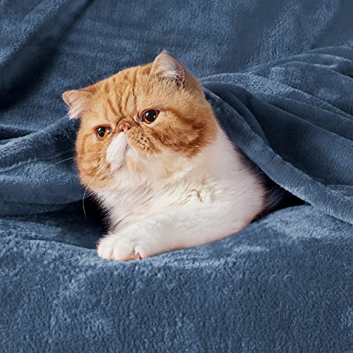 GentleSoft Fleece Blanket Twin Size Blue (Dark Blue / Twin (60" X 80"))