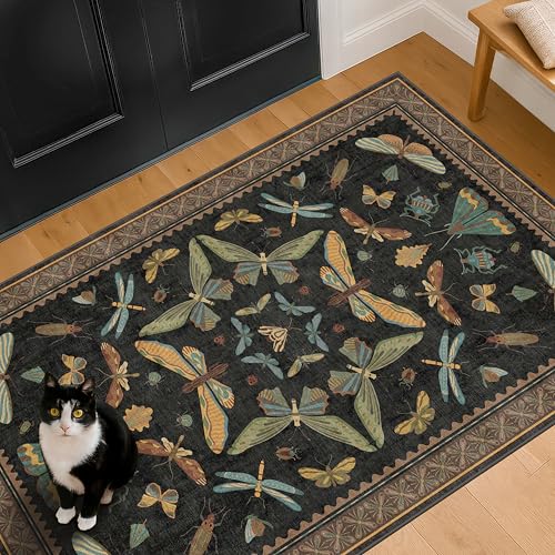 Black Front Door Mat Indoor Entrance Non Slip Washable (3' x 4' (Rectangular) / Black / Multi)