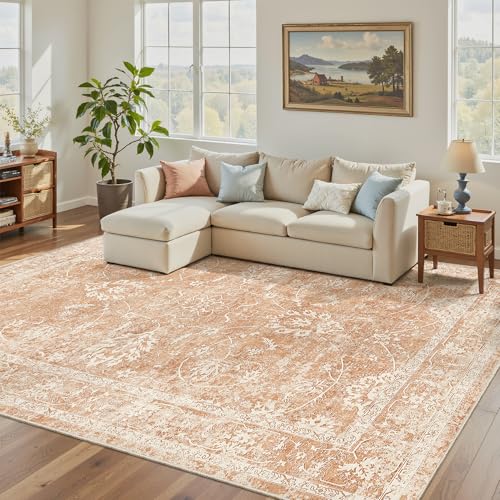 5x7 Area Rugs for Living Room (Jasper Orange / 5' x 7' (Rectangular))