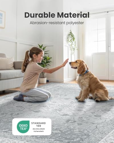 Amada 8x10 Washable Area Rug for Living Room (8' x 10' (Rectangular) / Silver/Gray)
