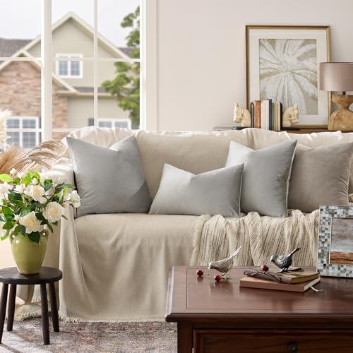 Silver Grey Velvet Throw Pillow Covers 12x20 Pack of 2 (Silver Grey / 20" x 12" (Pack of 2))