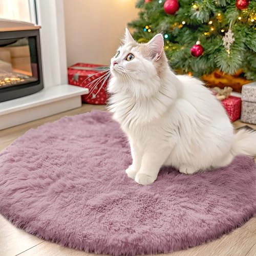 Blush Round Rugs for Bedroom (2 Ft Round / Blush)
