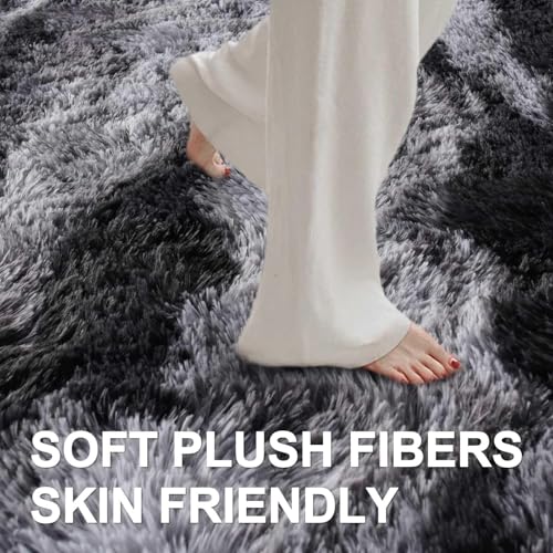 4x6 Ft Shag Rugs for Bedroom Living Room (Bb Black 4sm02 / 4' X 6' (Rectangular))