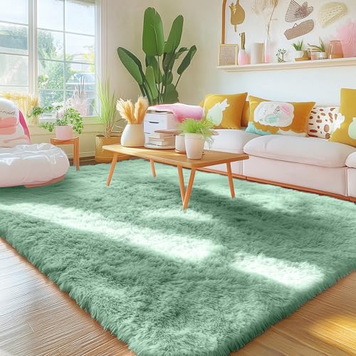 Area Rugs for Living Room Bedroom (4x5.9 Ft / Mint Green)