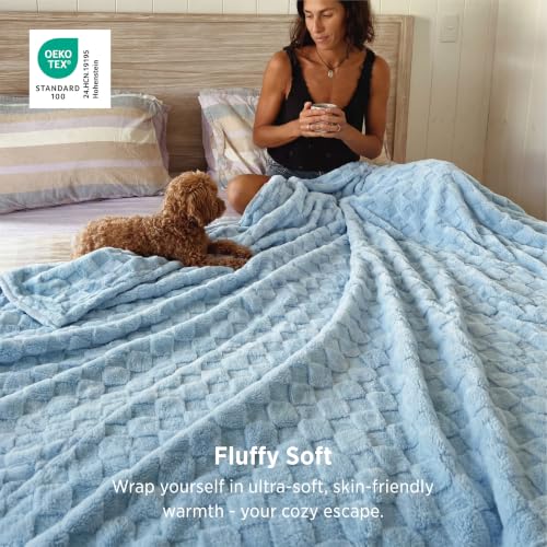 Checkered Soft Cozy Queen Blanket for Bed (Light Blue / Queen (90" X 90"))