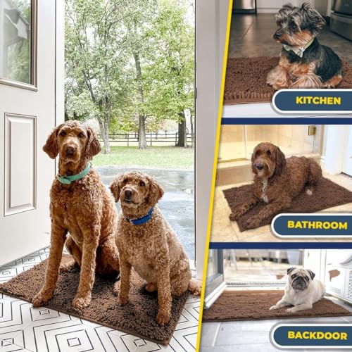 Super Water Absorbent Door Mat Indoor (Chocolate Brown / 36" x 60")