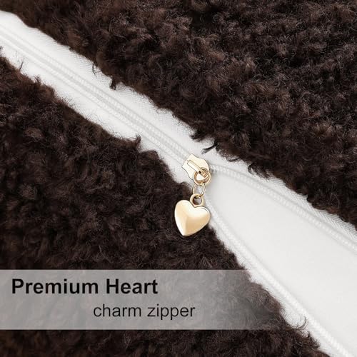 Sherpa Decorative Throw Pillow Covers 20x20 Set of 2 Chocolate (Chocolate / 20" x 20" (Pack of 2))