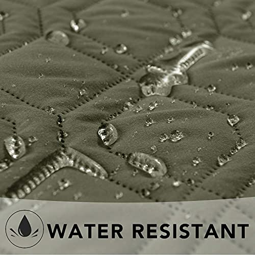 Waterproof Dog Bed Blankets Cover for Bed Couch Sofa Reversible (30x70 Inch (Pack of 1) / Green+navy Blue)