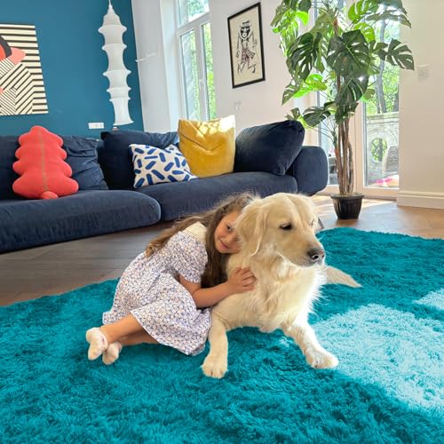 9x12 Machine Washable Large Area Rugs for Living Room (9x12 Ft / Teal)