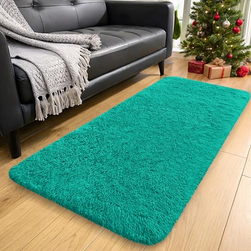 2x4 Machine Washable Runner Rugs for Hallway (2x4 Ft / Teal Green)