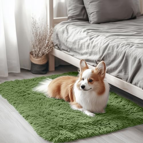 2x3 Machine Washable Small Bedside Rug (2x3 Ft / Green)