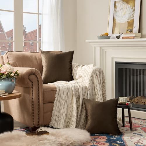 Brown Velvet Pillow Covers 18x18 Decorative Pillows Pack of 2 (Brown / 18" x 18" (Pack of 2))