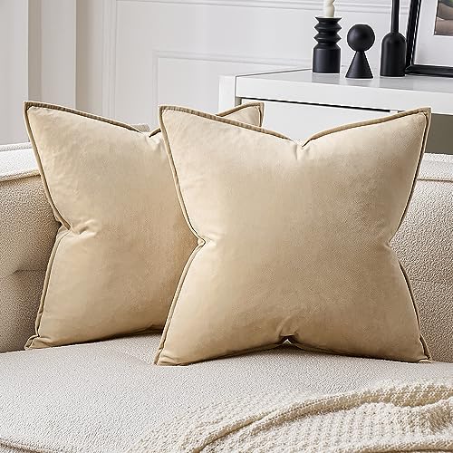 Decorative Beige Velvet Throw Pillow Covers for Couch 22x22 Inch (22" x 22" (Pack of 2) / Beige)