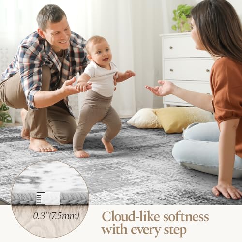 5x7 Area Rugs for Living Room (Grey / 5' x 7' (Rectangular))
