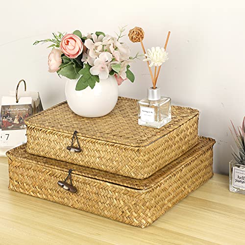 Set of 2 Flat Woven Wicker Storage Bins with Lid Seagrass Basket Box (Small+Large / Caramel)