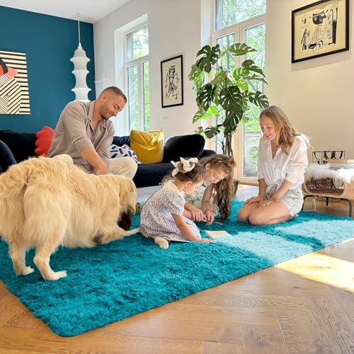 8x10 Machine Washable Large Area Rugs for Living Room (8x10 Ft / Teal)