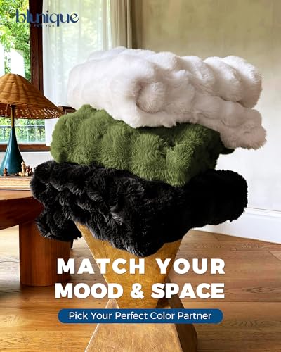 Ultra Soft Cozy Faux Fur Throw Blanket (Black / Throw)