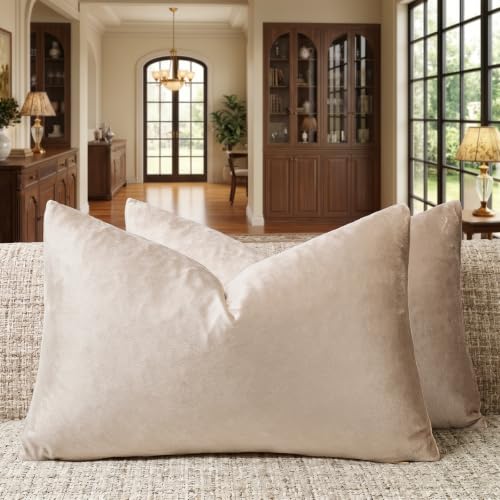 Velvet Pillow Covers 12x20 Decorative Pillows Pack of 2 Beige (Champagne / 20" x 12" (Pack of 2))