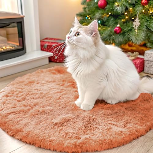 Muted Orange Round Rugs for Bedroom (2 Ft Round / Muted Orange)
