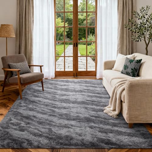 Area Rugs for Living Room (Eb Grey 4sm03 / 4' X 6' (Rectangular))