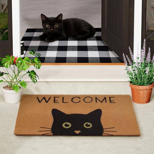 Welcome Mat Set (Cat With Green Eyes)
