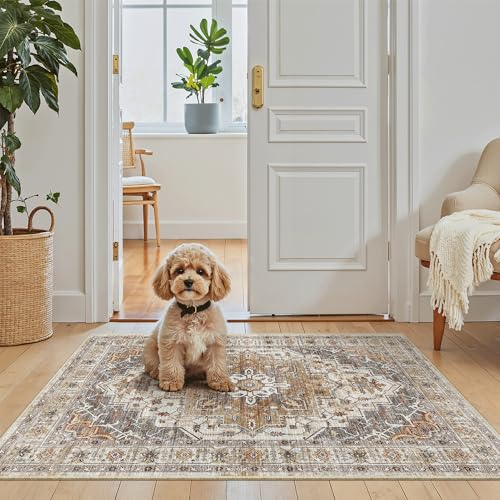Washable Area Rug 2x3 Small Entryway Rugs Non (Turmeric/Grey / 2' x 3' (Rectangular))
