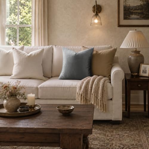 Dark Grey Velvet Throw Pillow Covers 20x20 Pack of 2 (Dark Grey / 20" x 20" (Pack of 2))