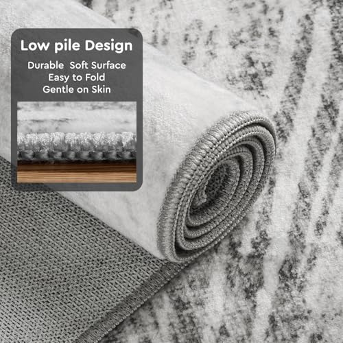 4x6 Rug Small Non Slip Area Rug Ultra Soft Machine Washable Low Pile Modern Abstract Dahlia Indoor Carpet Rugs for Bedroom Living Room Entryway Kitchen Bedside (Flower-grey / 4' x 6')