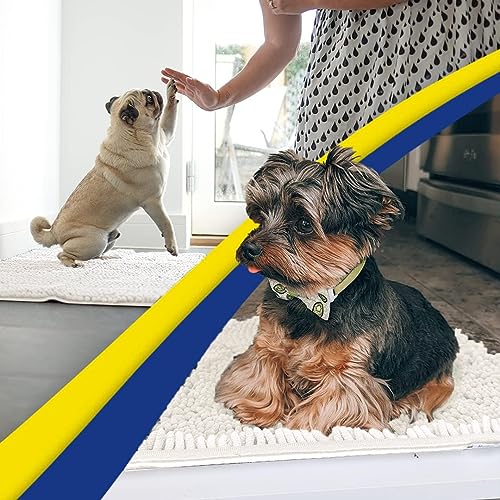 Super Water Absorbent Door Mat Indoor (White / 19" x 30")