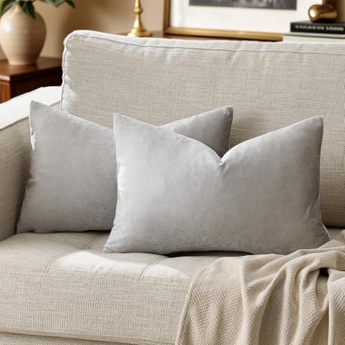 Silver Grey Velvet Throw Pillow Covers 12x20 Pack of 2 (Silver Grey / 20" x 12" (Pack of 2))