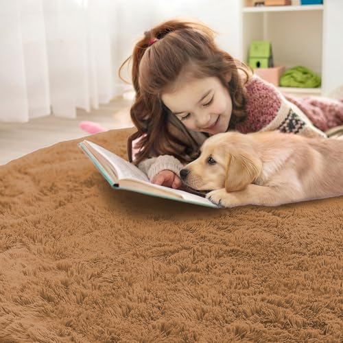 Khaki Round Rugs for Bedroom (3 Ft Round / Khaki)