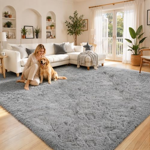 8x10 Area Rugs for Living Room (Light Grey / 8' x 10' (Rectangular))
