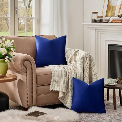 Royal Blue Velvet Throw Pillow Covers 24x24 Pack of 2 (Royal Blue / 24" x 24" (Pack of 2))